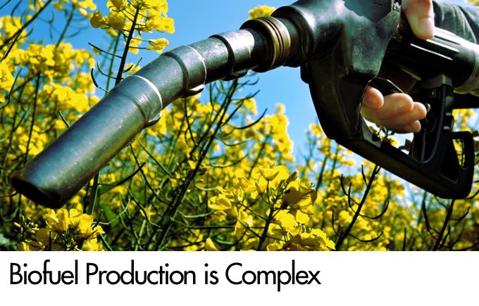 Biofuel Production is Complex