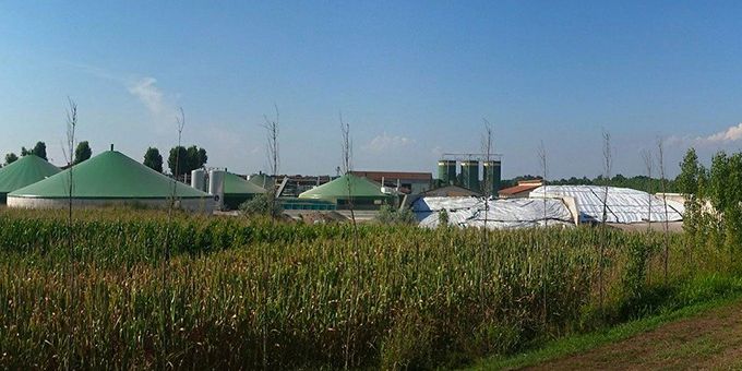 Biogas as a Blending Gas to Decarbonize Natural Gas Networks