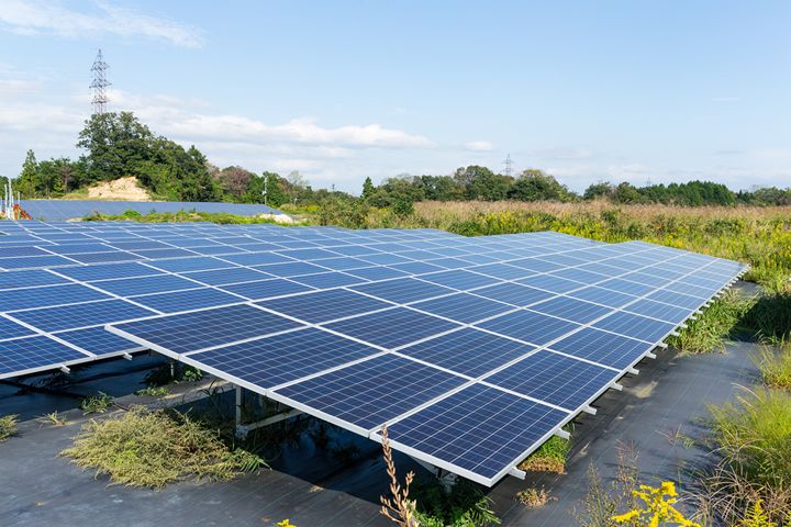 The Future of Community Solar